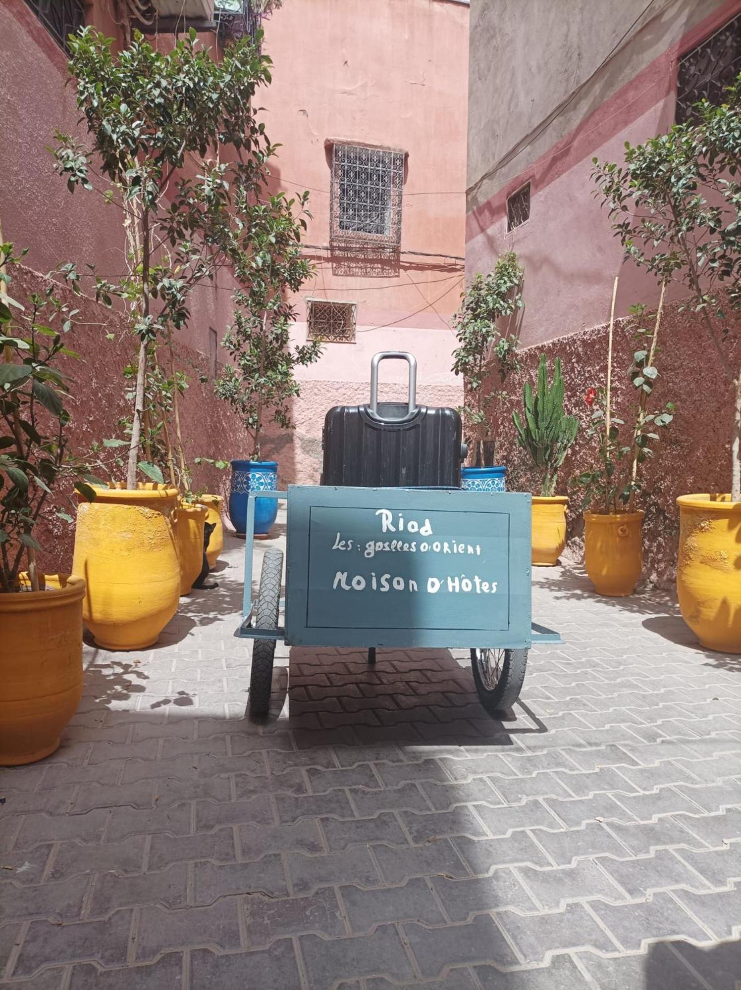 Riad Les Gazelles D'Orient Marrakech 马拉喀什 外观 照片